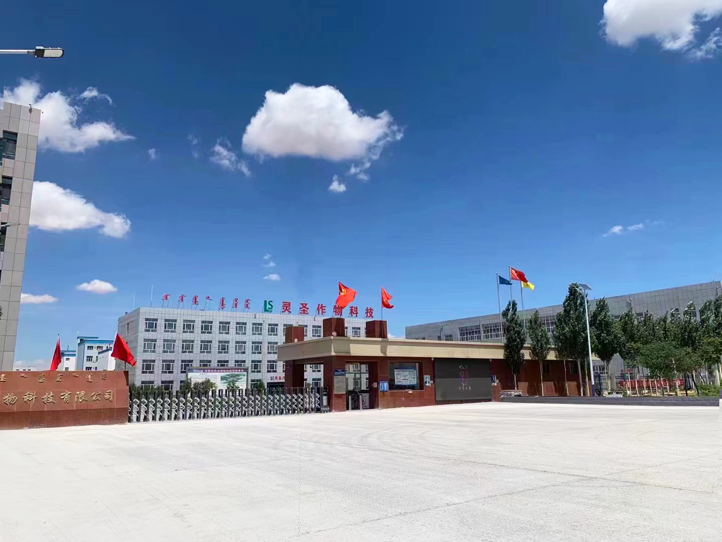 
 | 内蒙古灵圣作物科技有限公司年产11.7万吨精细化学品项目
